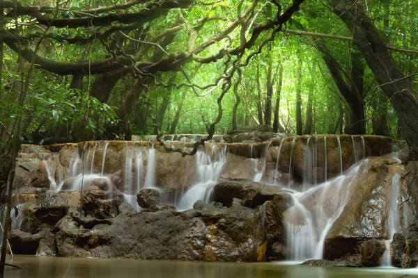 Small waterfall in the forest in summer. — Stock Photo, Image