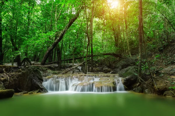 Pequeña cascada en el bosque. —  Fotos de Stock