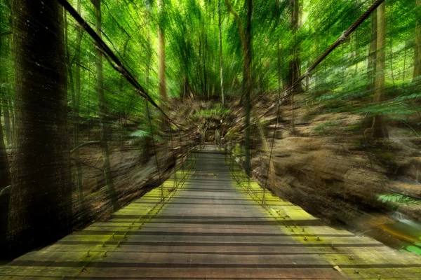 Imagem em movimento na ponte de suspensão na floresta . — Fotografia de Stock