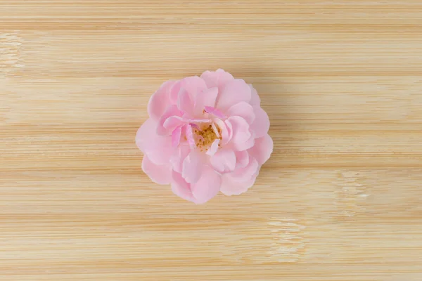 De roze fairy roze bloem op de bamboe-hout. — Stockfoto