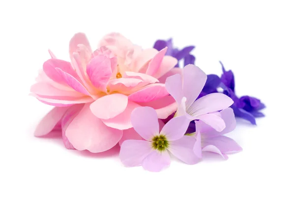 The bouquet of pink fairy rose,  Queen's wreath flower and Oxali — Stock Photo, Image