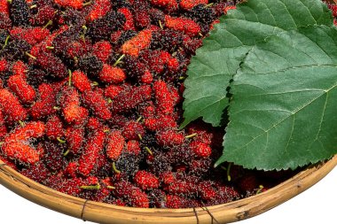 Dut yaprağıyla kırmızı dut arkaplanını kapat.