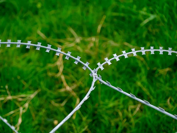 Close Barb Blur Grass Background — Stock Photo, Image