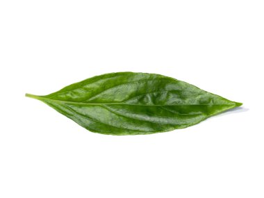 Kariyat yapraklarını ya da beyaz arka planda The Creat bitkisini kapatın. (Bilimsel Adı Andrographis panikleme (Burm. F) Duvar.)