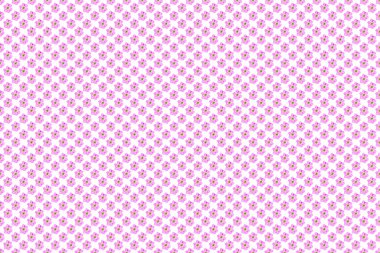 Beyaz arkaplanda Kraliçe 'nin çiçeğinin desen resmi.