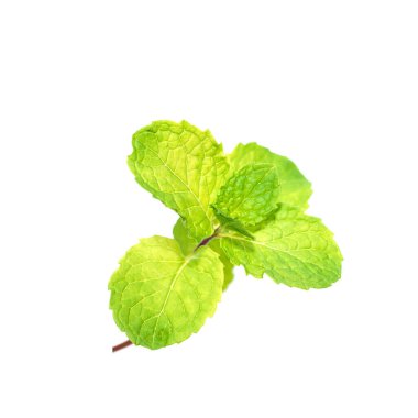 Mutfak darphanesini kapat, beyaz arka planda Marsh Nane Yaprağı. (Bilimsel adı Metha cordifolia Opiz.)