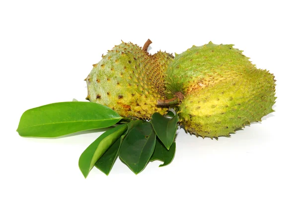 Zuurzakken, stekelig Custardappel. (annona spanner l.) behandeling o — Stockfoto