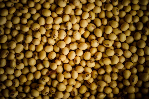 Granos de cereales, Semillas, Frijoles fondo — Foto de Stock