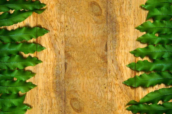 Green leaves of fern on wood. — Stock Photo, Image