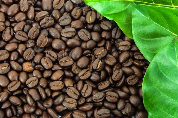 Roasted coffee beans. — Stock Photo, Image