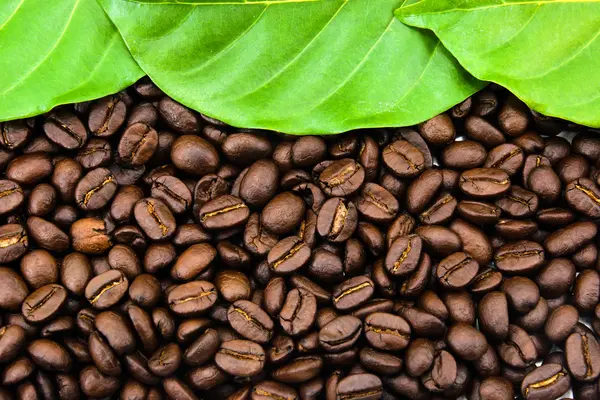 Roasted coffee beans. — Stock Photo, Image