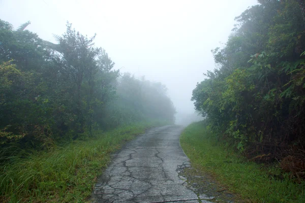 Nature walk in the rain forest and cloud cover.