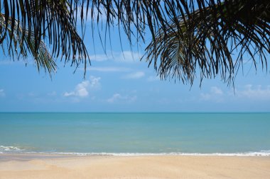 푸른 바다와 모래 해변, 태국