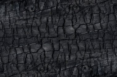 Kömürün yüzeyindeki detaylar.