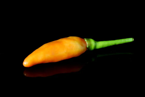 Chili peper geïsoleerd op een zwarte achtergrond — Stockfoto