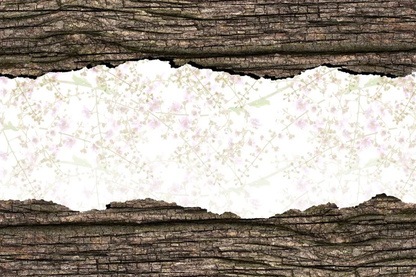 Fleurs luisantes dans la texture de vieux bois — Photo