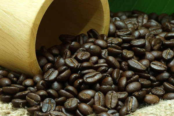 Roasted coffee beans — Stock Photo, Image