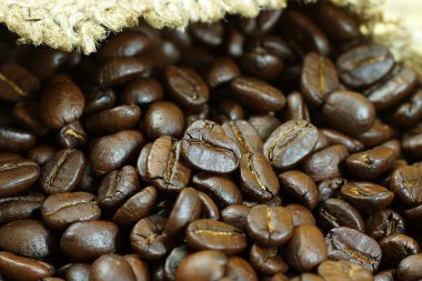 Kavrulmuş kahve çekirdeği.