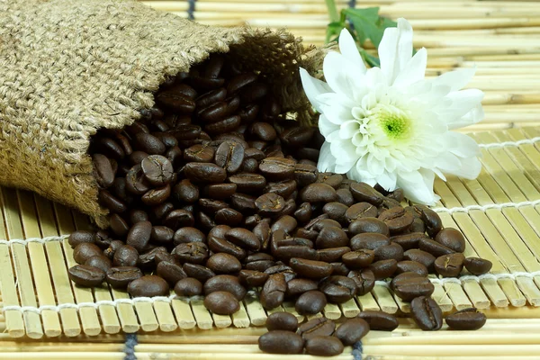 Biji kopi panggang — Stok Foto
