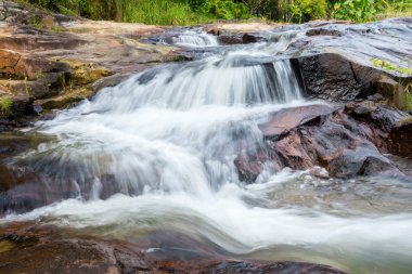 tropikal orman şelale.