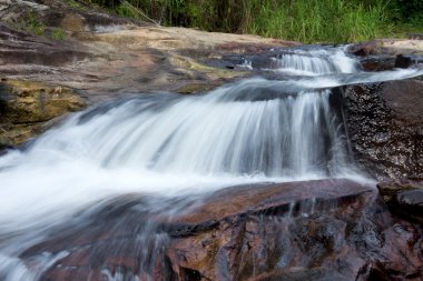 tropikal orman şelale.