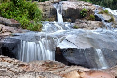 tropikal orman şelale.