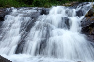 tropikal orman şelale.