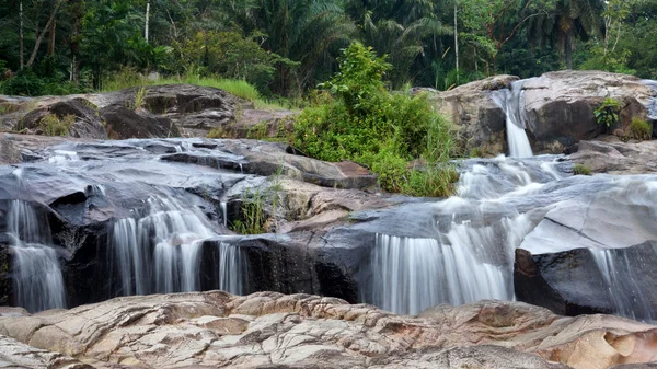 tropikal orman şelale.