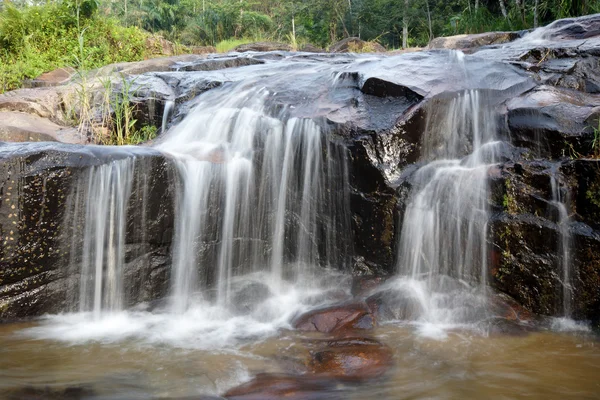 tropikal orman şelale.
