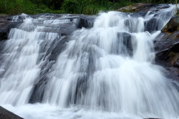 tropikal orman şelale.