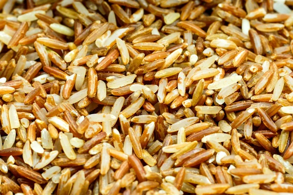 Arroz grueso — Foto de Stock