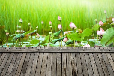 wood floor and lotus clipart