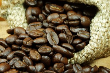 Kavrulmuş kahve çekirdeği.