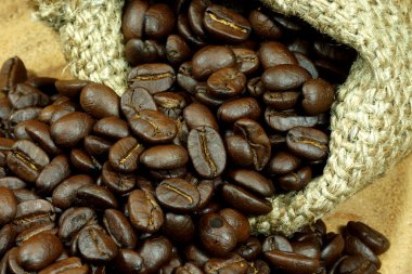 Kavrulmuş kahve çekirdeği.