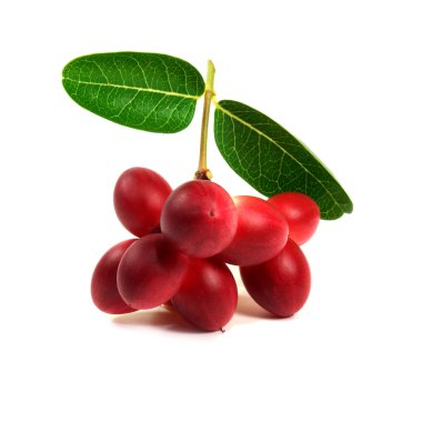 Süper meyve ve otlar.