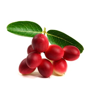 Süper meyve ve otlar.