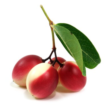 Süper meyve ve otlar.