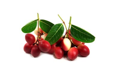 Süper meyve ve otlar.