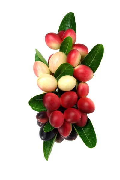 Super Früchte und Kräuter. — Stockfoto