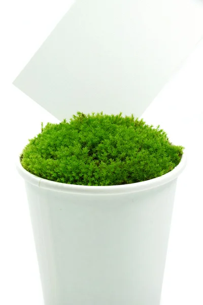 Zelený mech v trávě papíru. — Stock fotografie
