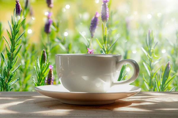 Ochtendkoffie in de tuin — Stockfoto