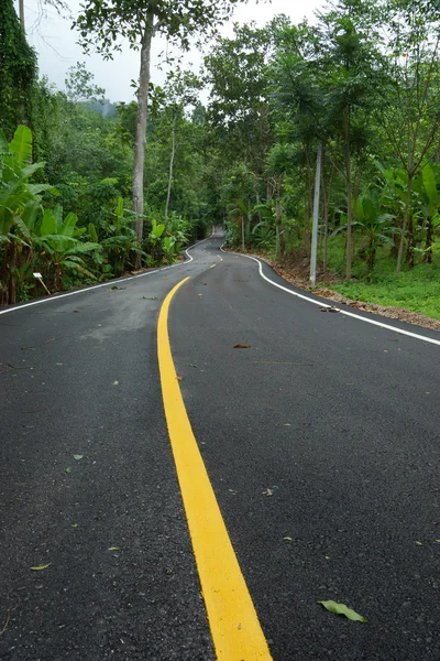 La route tourne vers la montagne — Photo