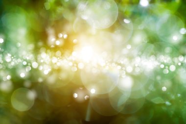 Bahar çimen, doğal yeşil ışık adam üzerinde taze çiğ