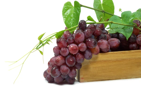 红提葡萄在白色背景上的木盒子. — 图库照片