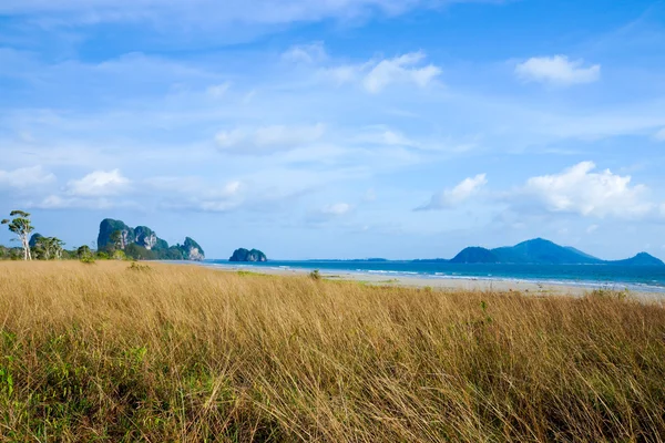 Savannen-Grasland und Baum, Thailand. — Stockfoto