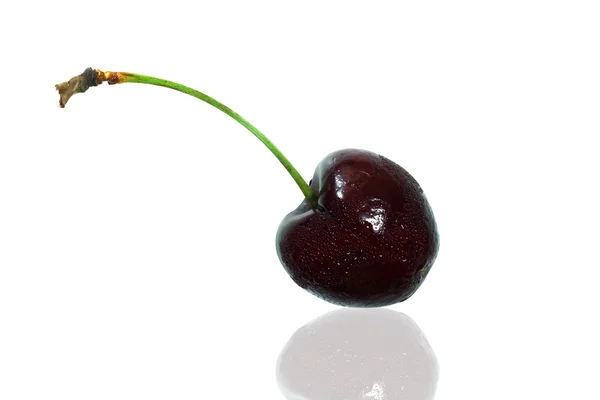 Black cherries Isolated on a white background — Stock Photo, Image