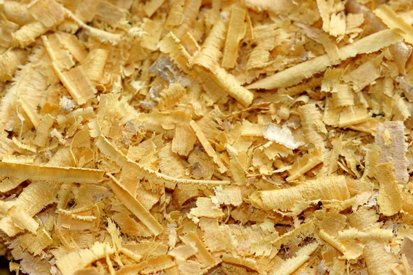 Wood Sawdust — Stock Photo, Image