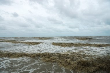Şiddet muson sezonu siyah dalga.