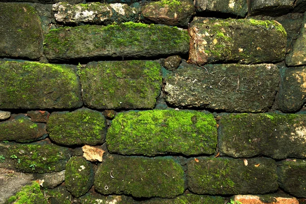れんが造りの古い石造り壁の苔で — ストック写真