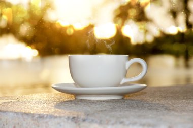 sabah kahve siluetleri göl.